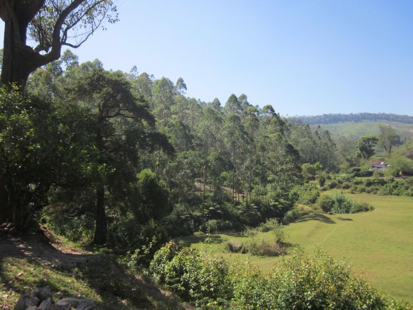 Private Munnar Tea Trek - Who should choose this trek