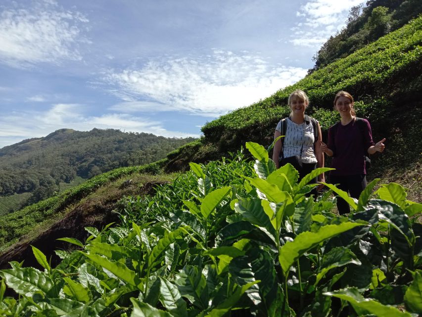 Private Munnar Tea Trek - Why this Munnar walk is worth your time