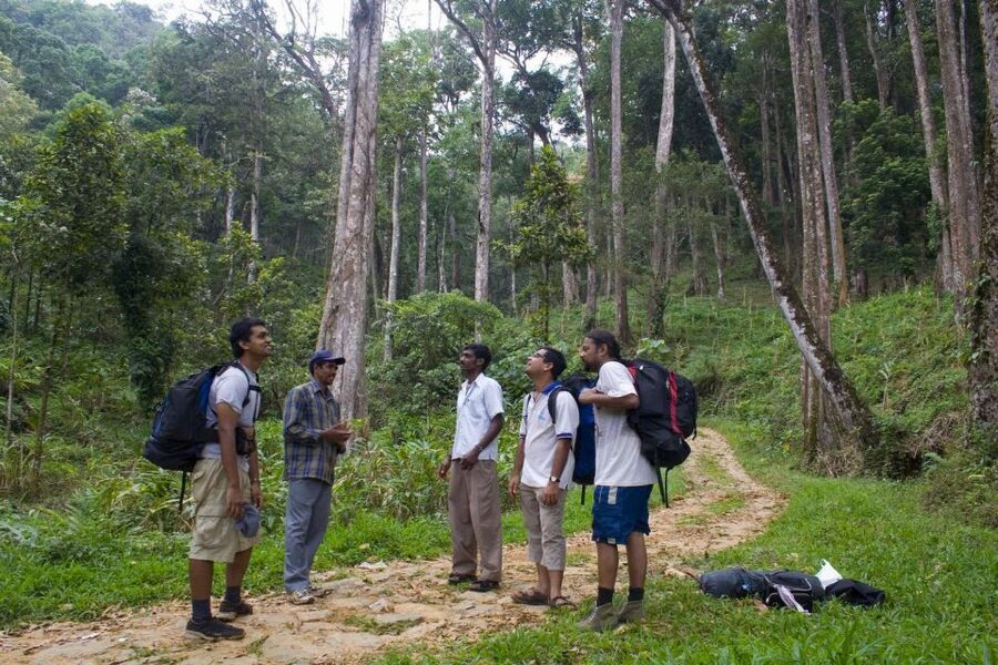 Private Munnar Tea Trek - What is included for $14