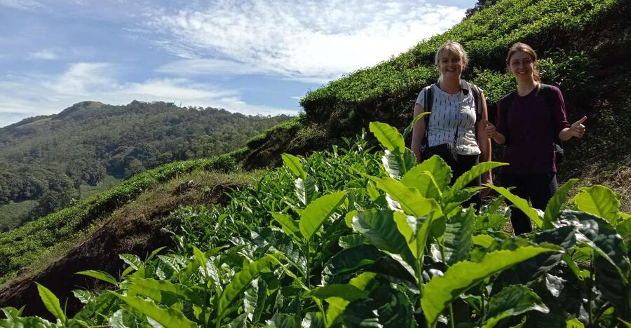 Private Munnar Tea Trek - Starting at Munnar KSRTC Depot
