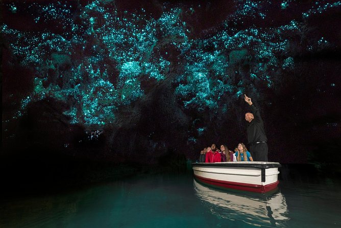 Private tour from Auckland - Waitomo Glowworm Caves, Zealong Tea & Kiwi Bird - Zealong Tea Estate: New Zealand tea with time to slow down