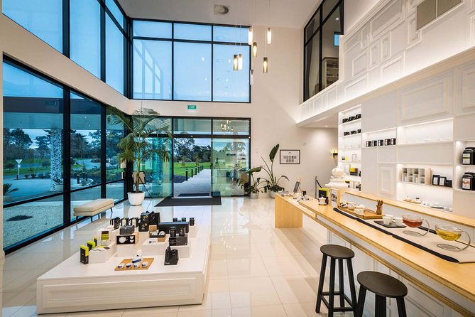Private tour from Auckland - Waitomo Glowworm Caves, Zealong Tea & Kiwi Bird - Food, comfort, and the small practical details