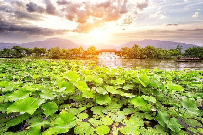 Private Tour Hangzhou West Lake and Tea Fields Discovery - Why this Hangzhou day works