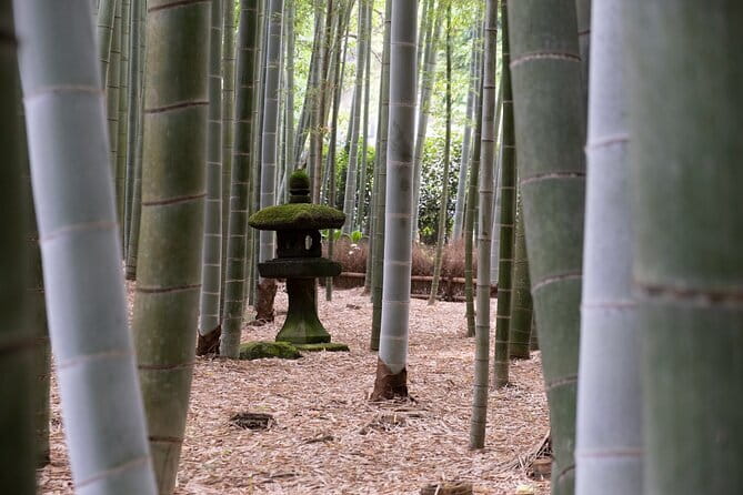 Private Tour in Kamakura: Matcha Tea Tasting & Photo Session - Jōmyō-ji brings history and tea together