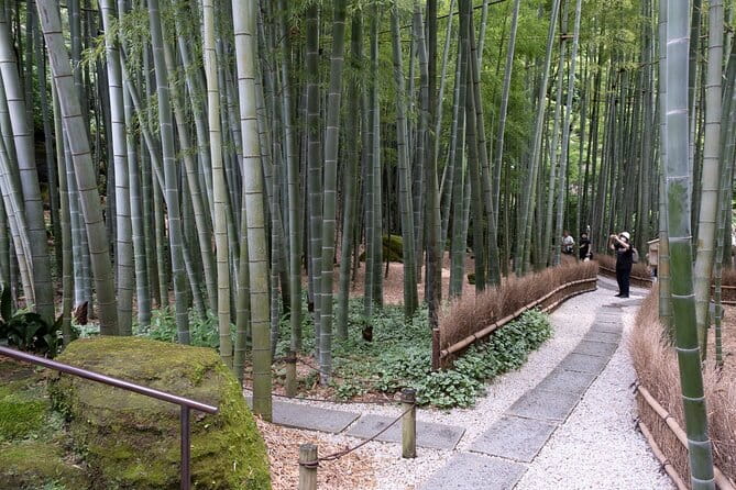 Private Tour in Kamakura: Matcha Tea Tasting & Photo Session - Hokoku-ji and its bamboo grove