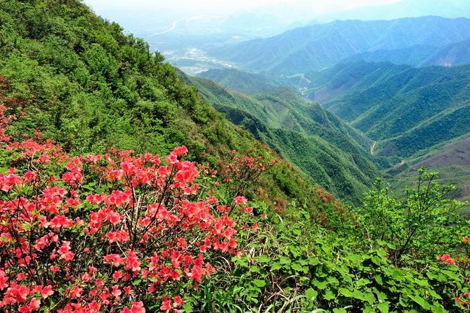 Private Tour: Yao Mountain and Tea Plantation from Guilin - Riding the chairlift up Yao Mountain