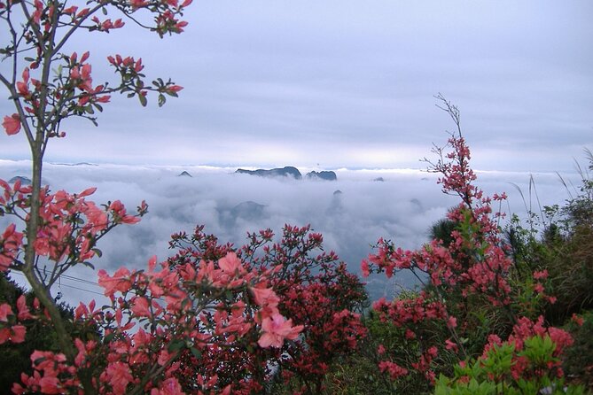 Private Tour: Yao Mountain and Tea Plantation from Guilin - How much time you really get