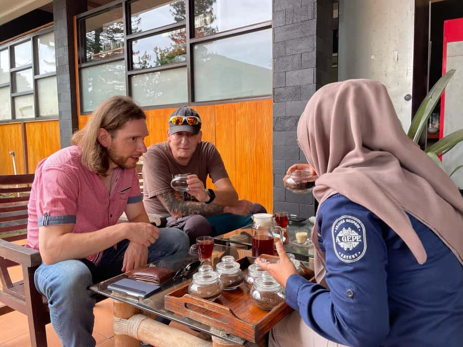 Private Trip Malang/Surabaya : Tour Tea Plantation Wonosari - Key points at a glance