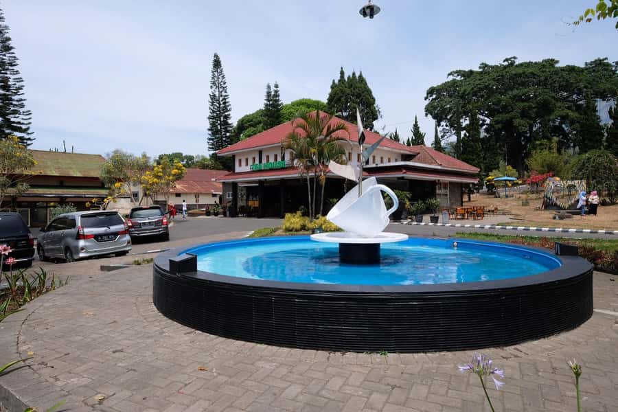 Private Trip Malang/Surabaya : Tour Tea Plantation Wonosari - How much time should you allow?
