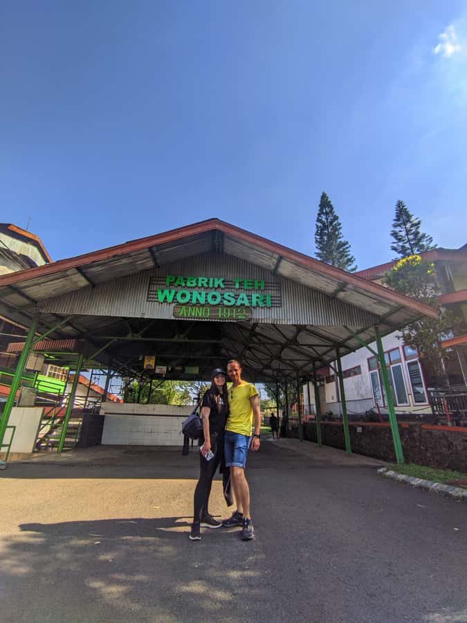 Private Trip Malang/Surabaya : Tour Tea Plantation Wonosari - Getting there from Malang or Surabaya