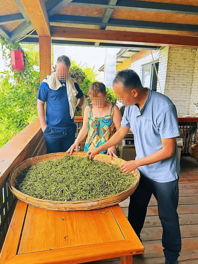 Puer Tea Picking and Tasting | 6 Hour Morning Trip - A rural lunch and possible coffee connection