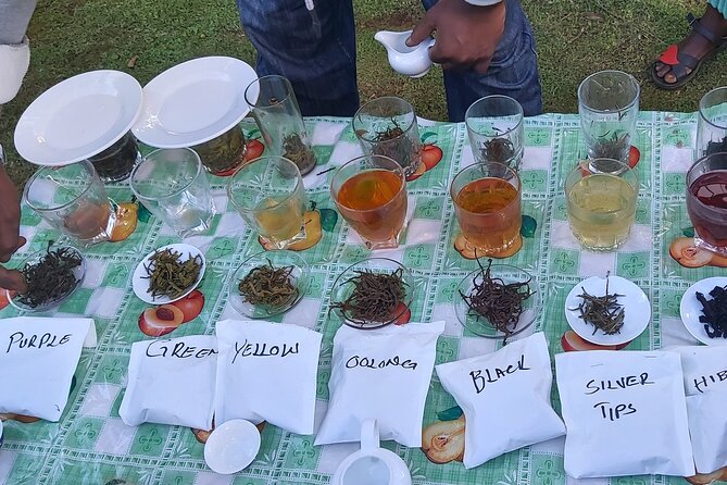 Purple Tea Farm Tour from Nairobi City - Specialty Tea Tasting - Buying tea as it leaves the factory mill