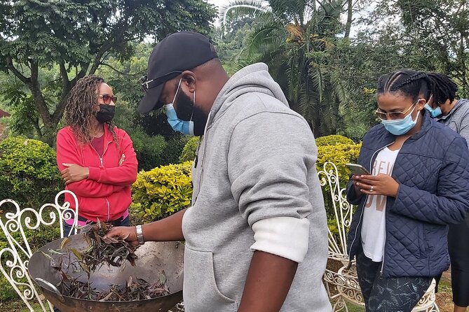 Purple Tea Farm Tour from Nairobi City - Specialty Tea Tasting - Is $102 a fair price from Nairobi?