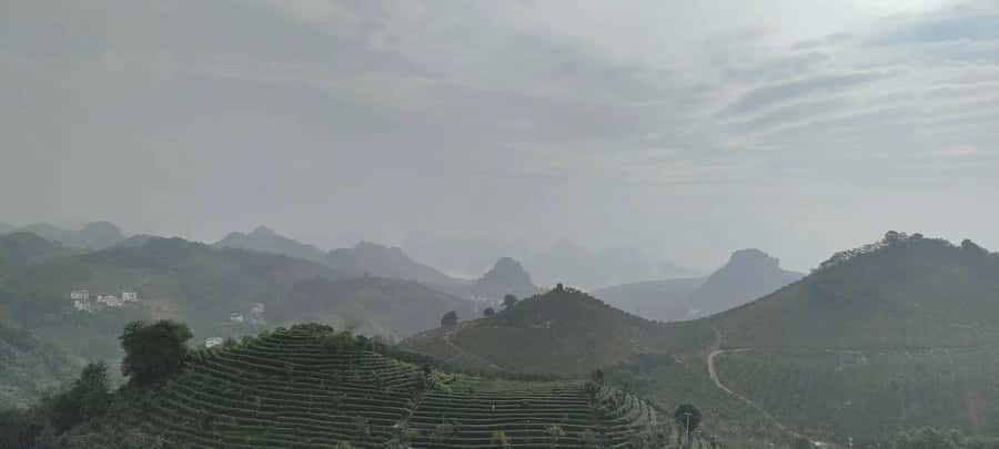 Qixianfeng Tea Plantation Tour in Yangshuo - Leaving Yangshuo for seven tea-covered hills