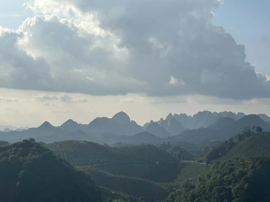 Qixianfeng Tea Plantation Tour in Yangshuo - Learning Chinese tea preparation