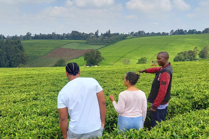 Riara tea farm tour with lunch and tea tasting from Nairobi - Key points before you book