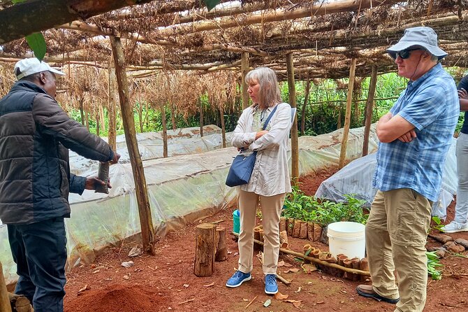 Riara tea farm tour with lunch and tea tasting from Nairobi - From Nairobi streets to the tea country of Limuru