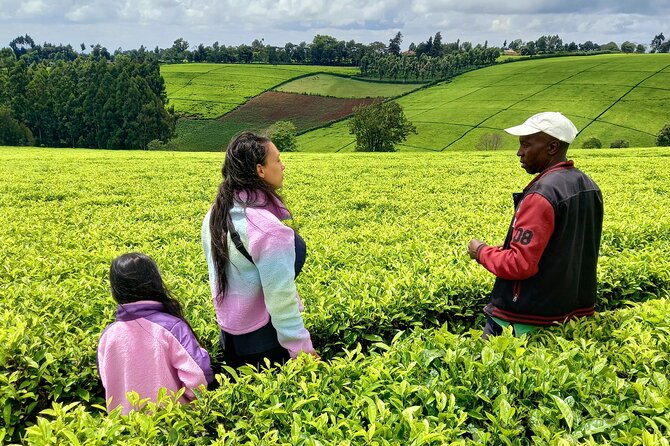 Riara tea farm tour with lunch and tea tasting from Nairobi - Lunch after the farm tour