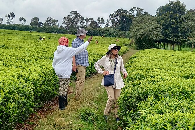 Riara tea farm tour with lunch and tea tasting from Nairobi - What the $150 price really covers