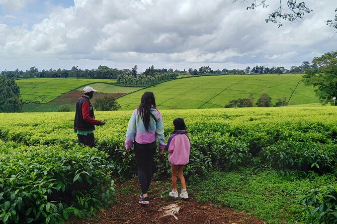 Riara tea farm tour with lunch and tea tasting from Nairobi - Who will enjoy Riara most