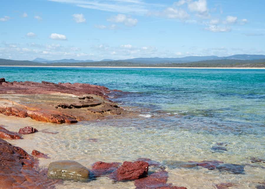 Sapphire Coast: 7h Shore Excursion with Aussie Morning Tea - What the small group changes