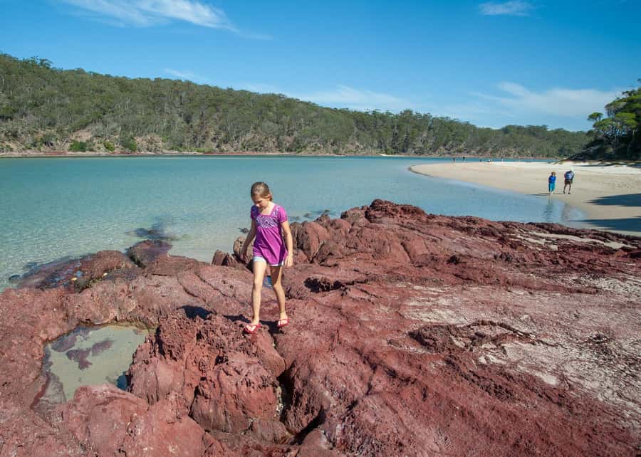 Sapphire Coast: 7h Shore Excursion with Aussie Morning Tea - Who should book this experience