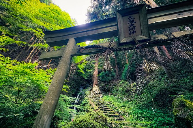 Scenic Green Tea Fields of Hidden Kyoto & Local Tea Exp (Private) - Ishitera’s tea fields reaching uphill