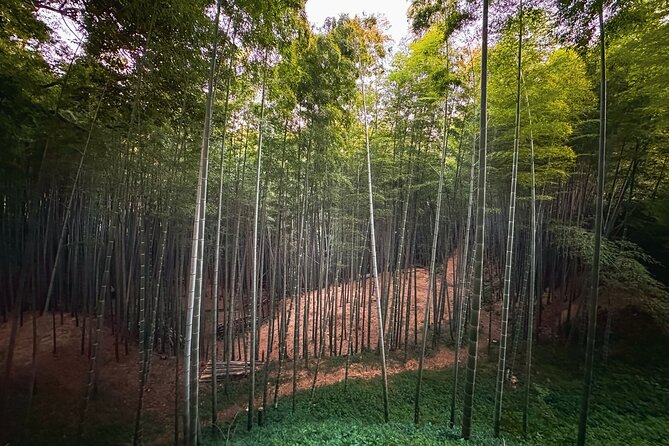 Scenic Green Tea Fields of Hidden Kyoto & Local Tea Exp (Private) - A private ride that changes the pace