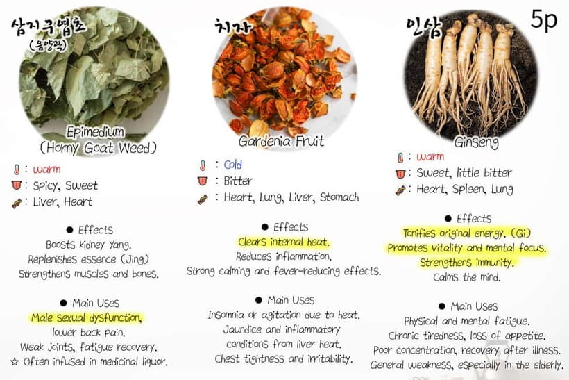 Seoul: Herbal Tea Class & Korean Medicine Tour - Who will get the most from this experience