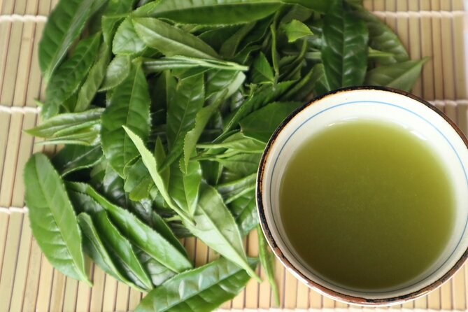 Shizuoka Tea Picking Private Experience - Who will enjoy this tea experience most?