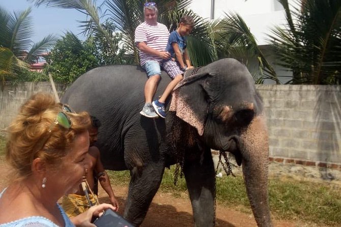Shore Excursion From Colombo port to Ingiriya Tea Plantation & back for 2 People - Colombo sights on the return route