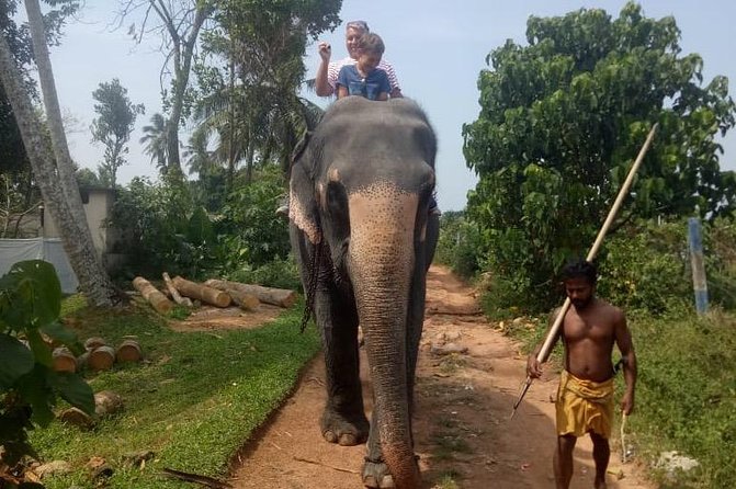 Shore Excursion From Colombo port to Ingiriya Tea Plantation & back for 2 People - The guide can shape the whole day