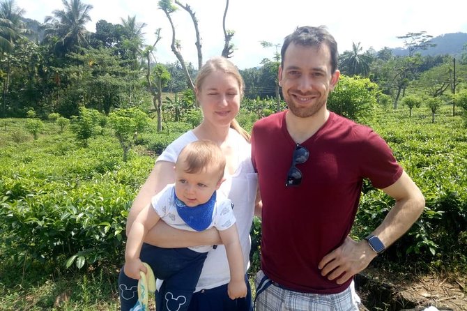 Shore Excursion From Colombo port to Ingiriya Tea Plantation & back for 2 People - What to expect at the Ceylon tea plantation