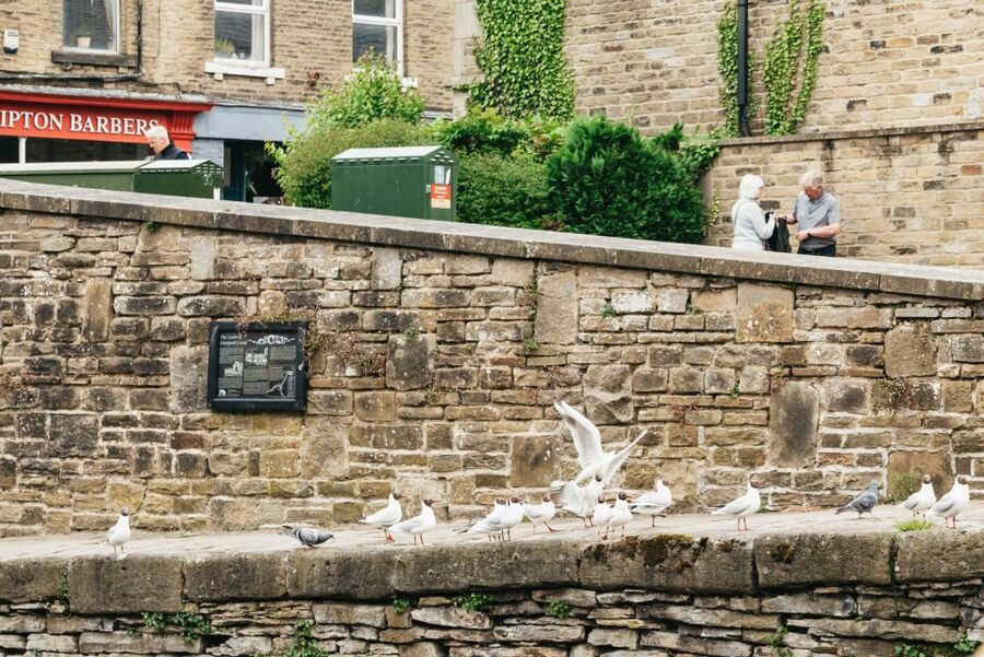Skipton: 2-Hour Afternoon Tea Cruise - One hour out, one hour back on the Leeds and Liverpool Canal