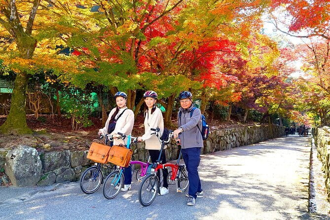 Slow Cycling Tour at Uji's Matcha Green Tea Fields and Heritage - Key points at a glance