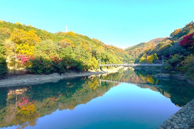 Slow Cycling Tour at Uji's Matcha Green Tea Fields and Heritage - Why cycling makes sense in Uji