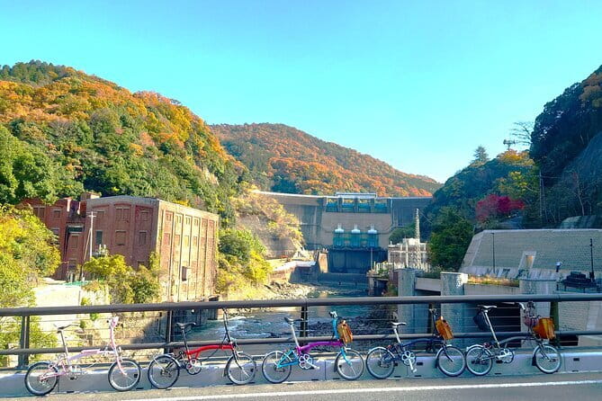 Slow Cycling Tour at Uji's Matcha Green Tea Fields and Heritage - Starting with tea at Chazuna