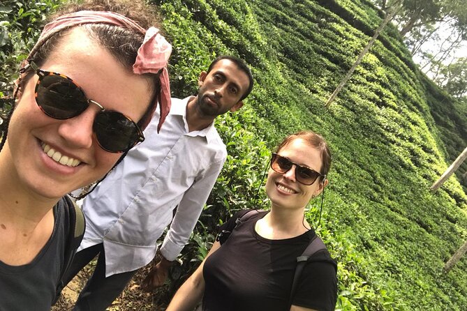 Srimangal nature tour in forest and tea garden - Entering Srimangal’s tea country by private vehicle