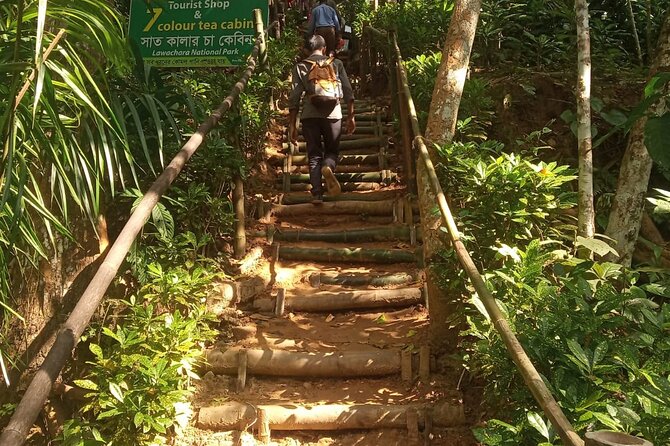 Srimangal nature tour in forest and tea garden - Seeing seven-color tea in its local setting