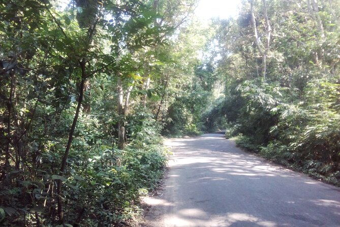 Srimangal nature tour in forest and tea garden - Meeting local communities without a rushed schedule