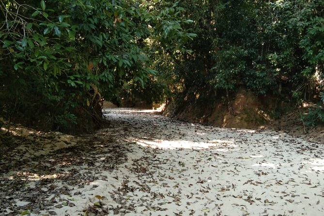 Srimangal nature tour in forest and tea garden - What the nine-hour schedule really means