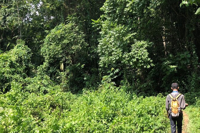 Srimangal nature tour in forest and tea garden - Who will get the most from this tour