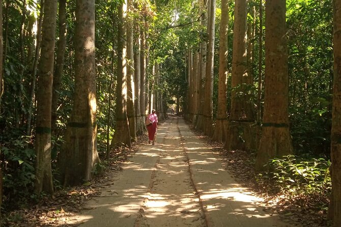 Srimangal nature tour in forest and tea garden - The $50 value and the important booking check