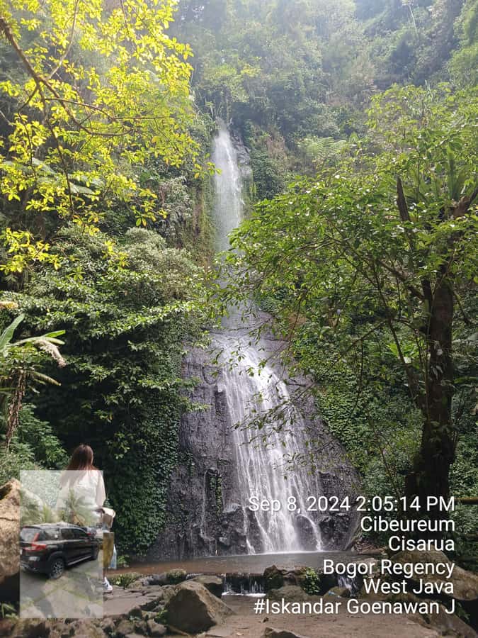 Taman Safari and Tea Plantation Tour at Puncak - Key points to know before booking