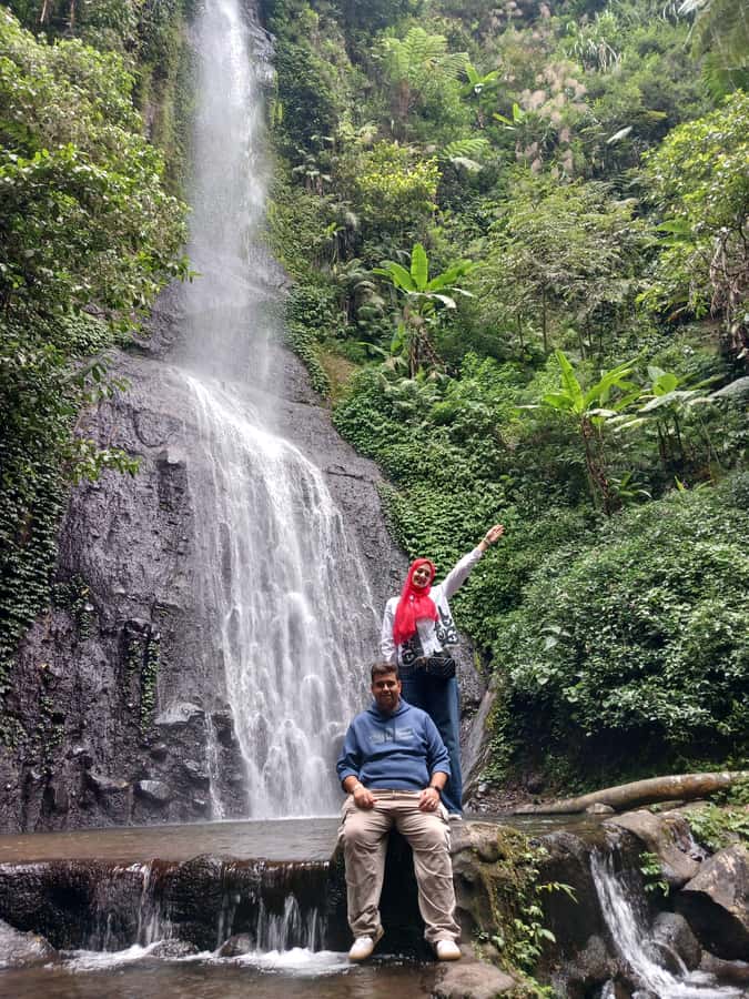 Taman Safari and Tea Plantation Tour at Puncak - Pandas, dolphins, and animal shows