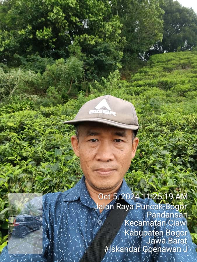Taman Safari and Tea Plantation Tour at Puncak - Tea among the cool Puncak hills