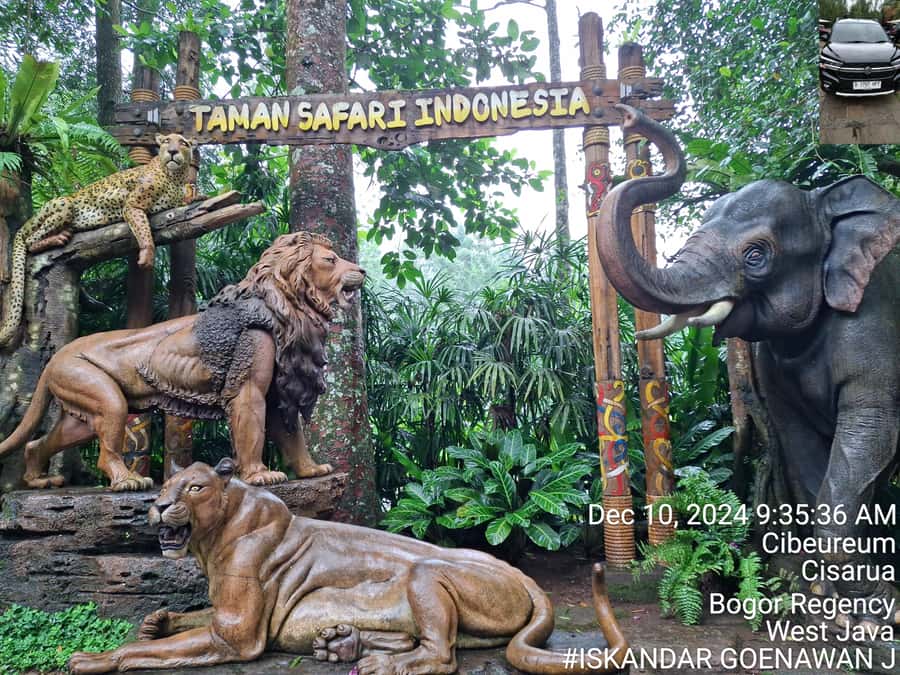 Taman Safari and Tea Plantation Tour at Puncak - Who will enjoy this day most?