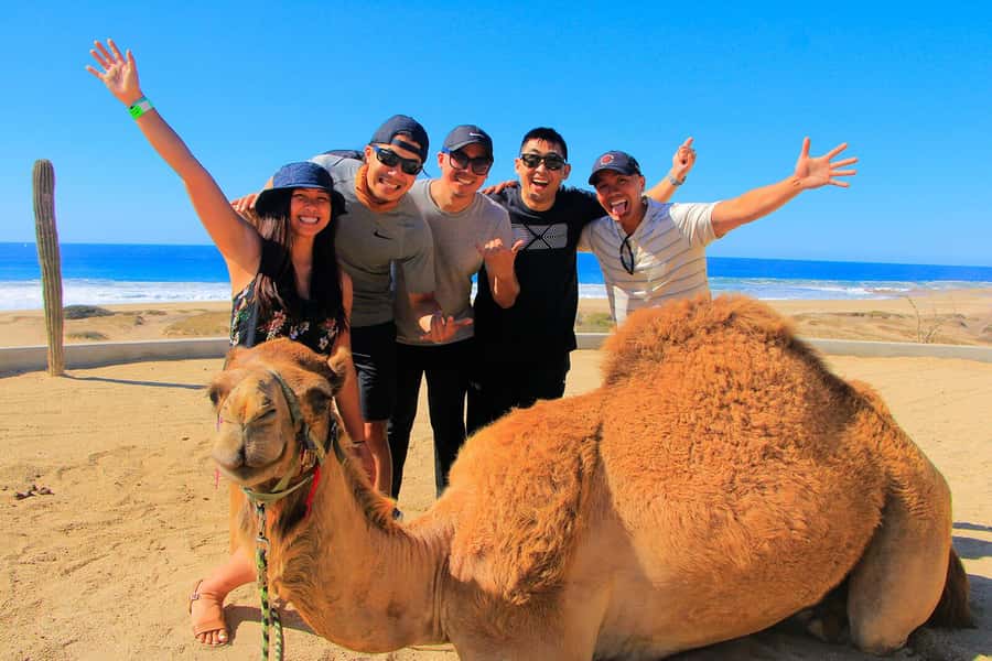 Tangier: sunset, tea, camel ride, Cape Spartel and caves. - Timing, group size, and what the three hours really mean