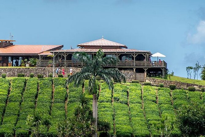 Tea Experience in the Exotic South of Mauritius Private tour. - Takamaka’s lychee wine stop