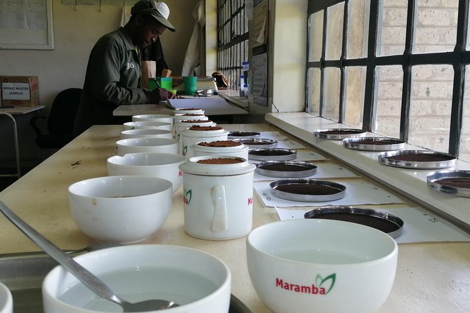 Tea Farm Experience at Riara Tea Farm And Factory Tour - The five to six hour timing
